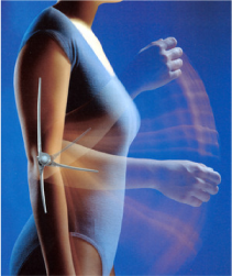 Endo Modell II